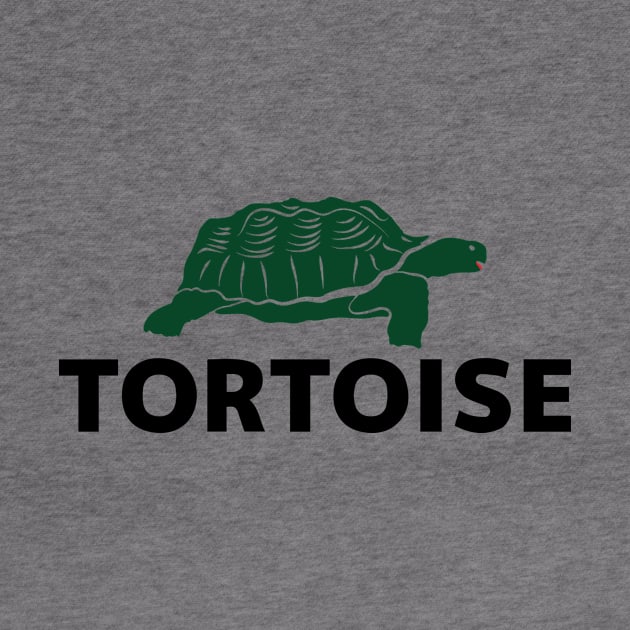 Tortoise by encip